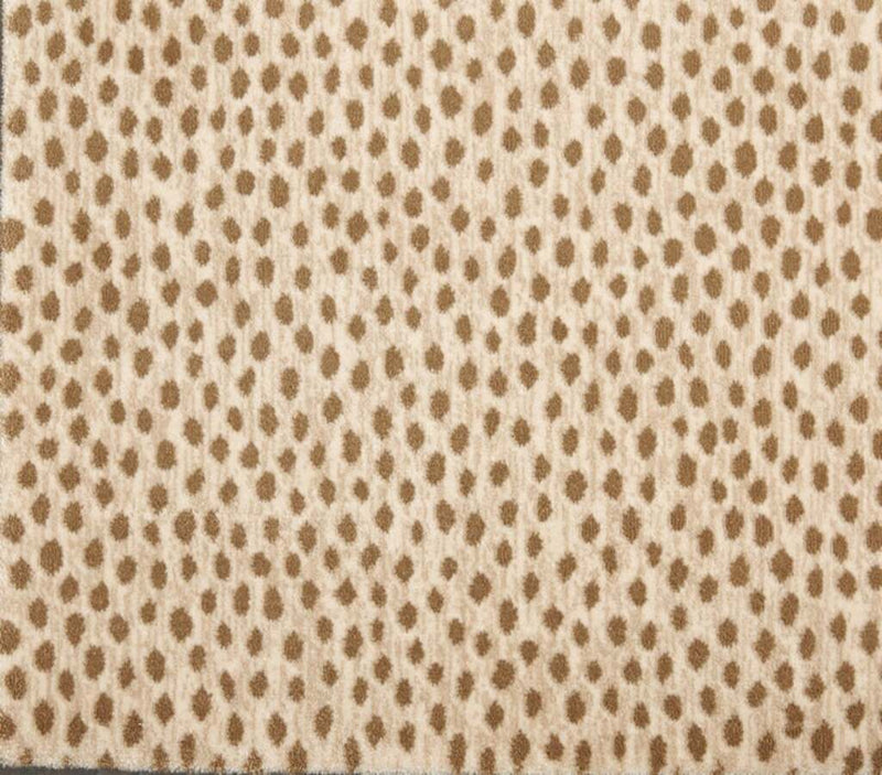 Dottie Desert