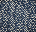 Dottie Navy