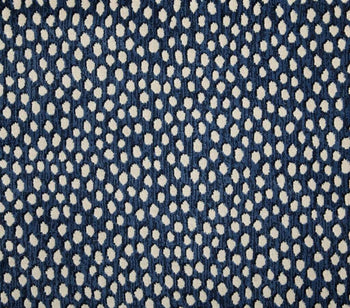 Dottie Navy