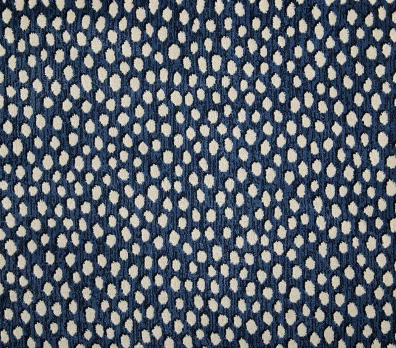 Dottie Navy