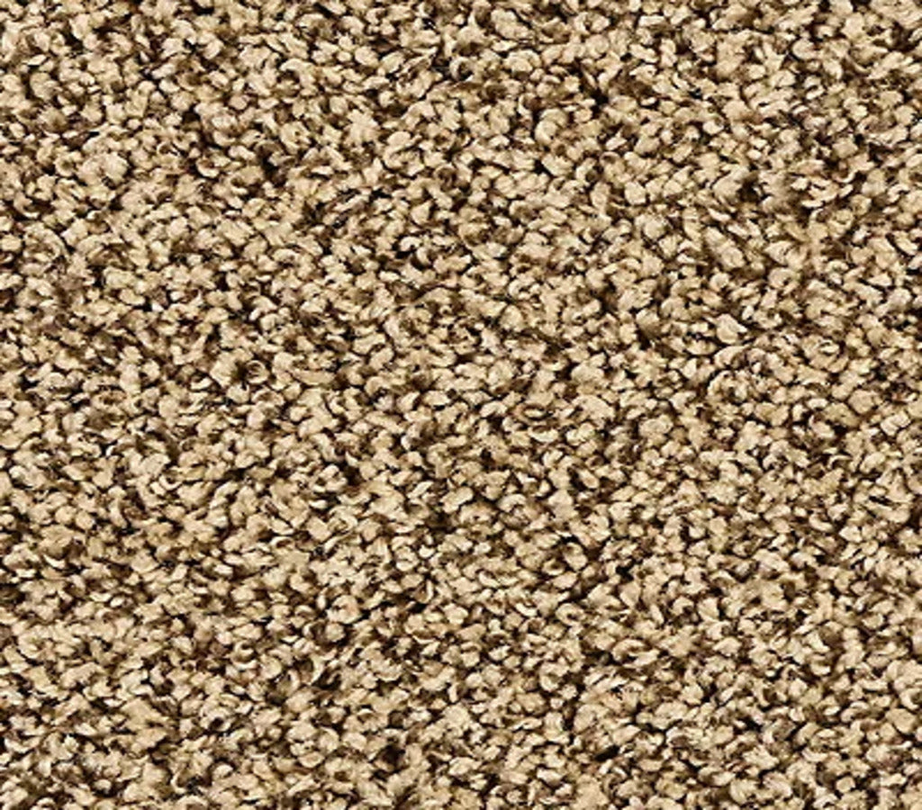 Elegant Tones Mocha Brown