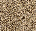 Elegant Tones Mocha Brown