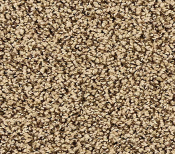 Elegant Tones Mocha Brown