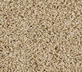 Elegant Tones New Wheat