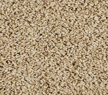 Elegant Tones New Wheat