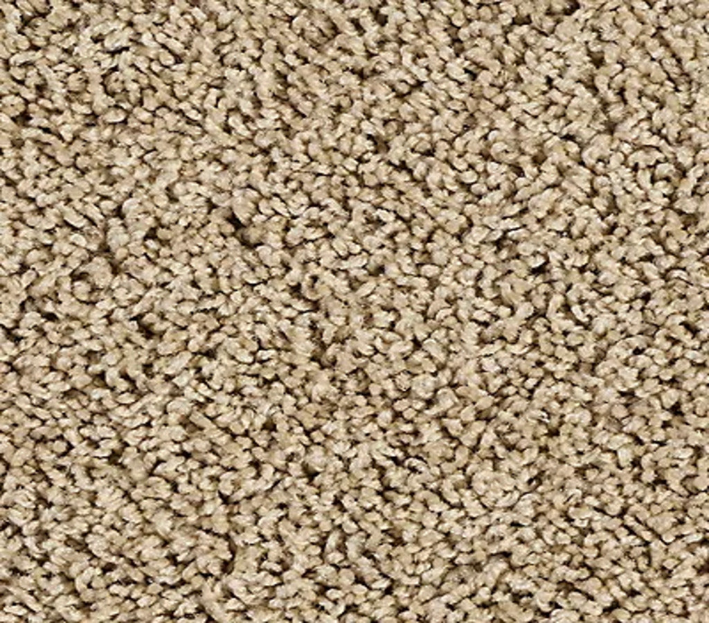 Elegant Tones Safari Tan