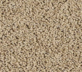 Elegant Tones Safari Tan
