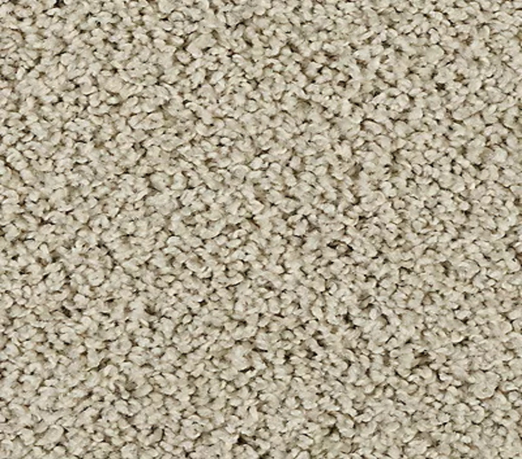 Elegant Tones Tradewinds