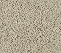 Elegant Tones Tradewinds