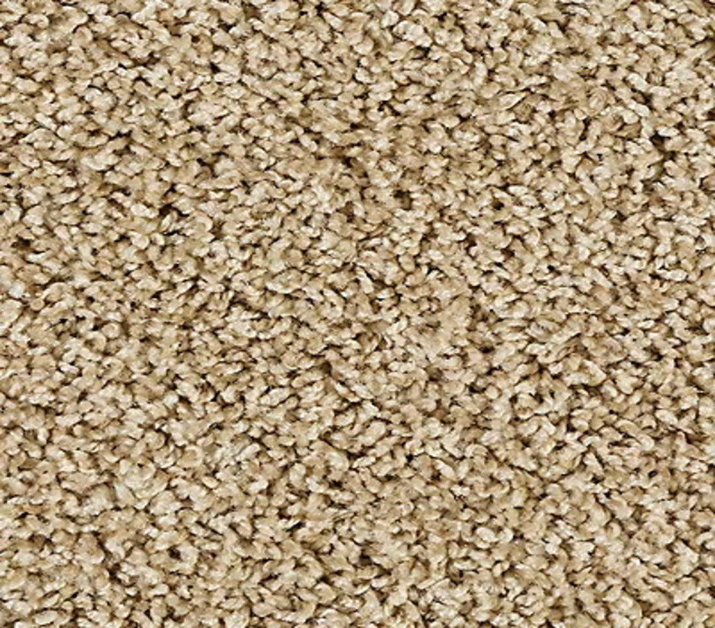 Elegant Tones Warm Almond