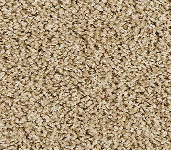 Elegant Tones Warm Almond