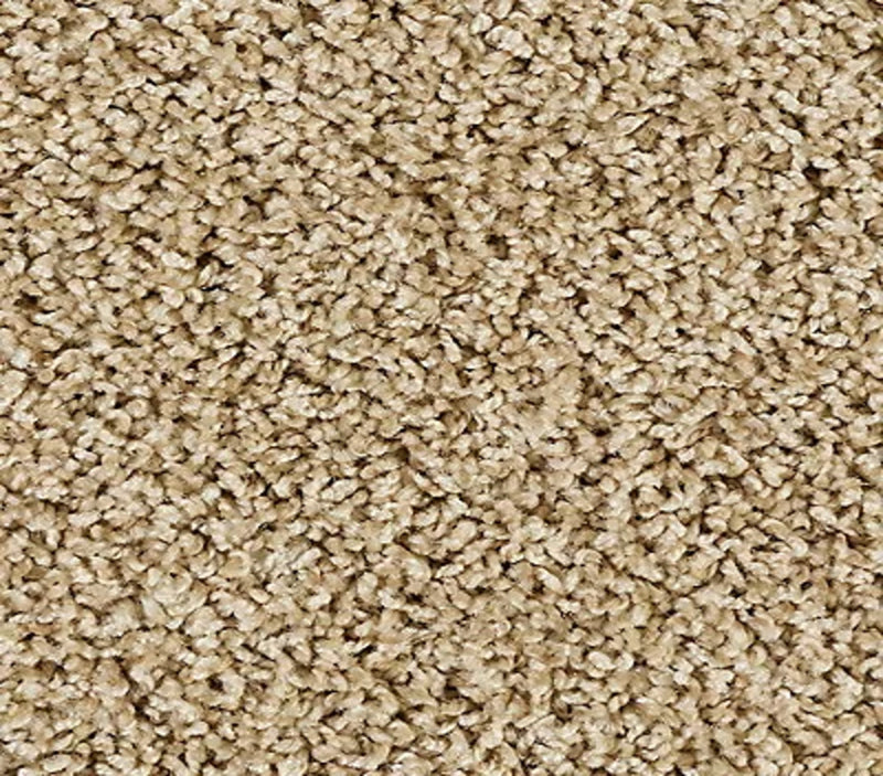 Elegant Tones Warm Almond