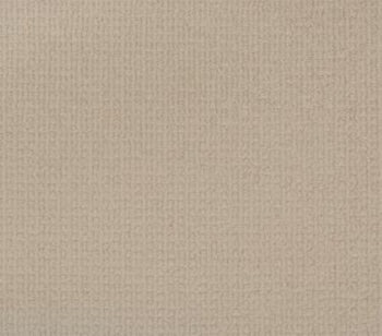 Enduring Statement Radiance