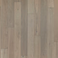 Entrevaux Rockbridge Oak