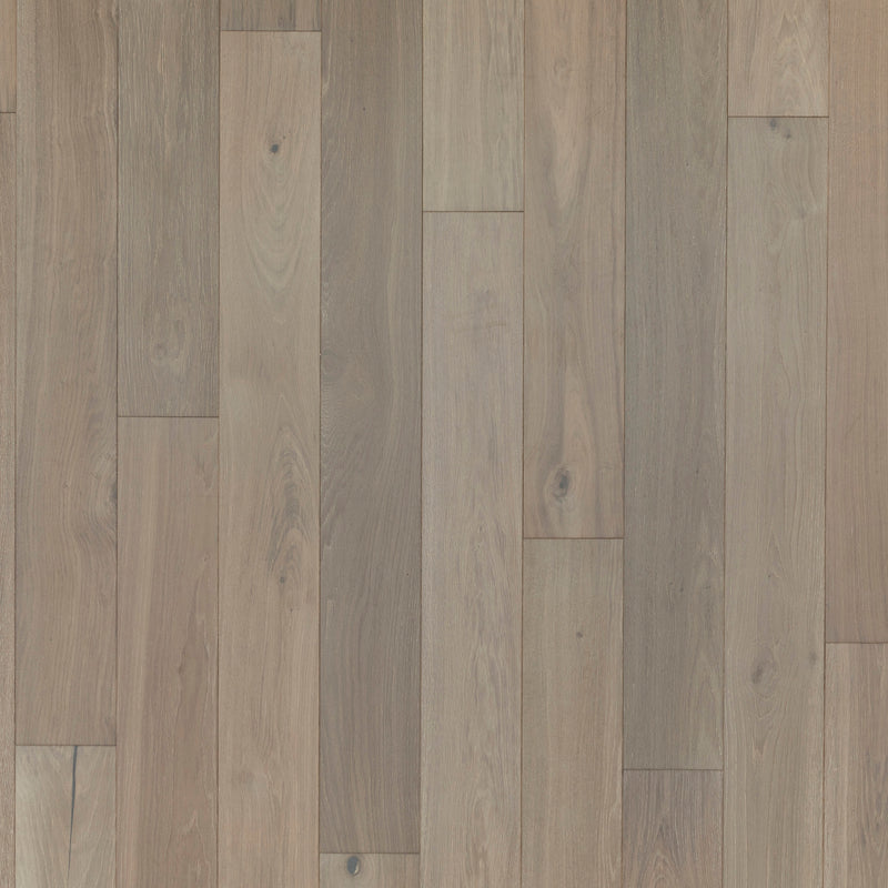 Entrevaux Rockbridge Oak