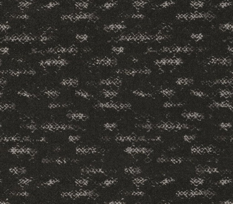 Evoke Charcoals