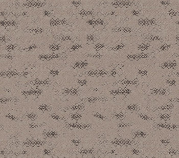 Evoke Mocha