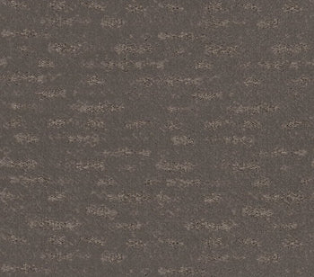 Evoke Walnut