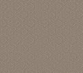 Expressive Toasty Gray