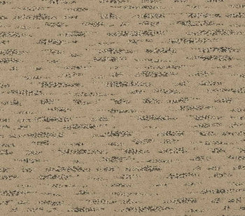 Exquisite Reputation Sunbathed