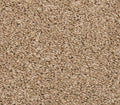Final Offer S T Toffee Cream