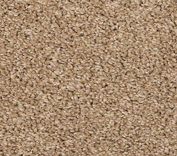 Final Offer S T Toffee Cream