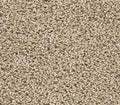 Floorigami Carpet Diem 9X36 SB 103 Canvas