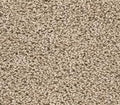 Floorigami Carpet Diem 9X36 SB 103 Canvas
