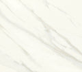 Florentine Carrara
