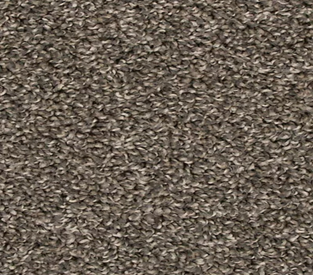 Focus 8