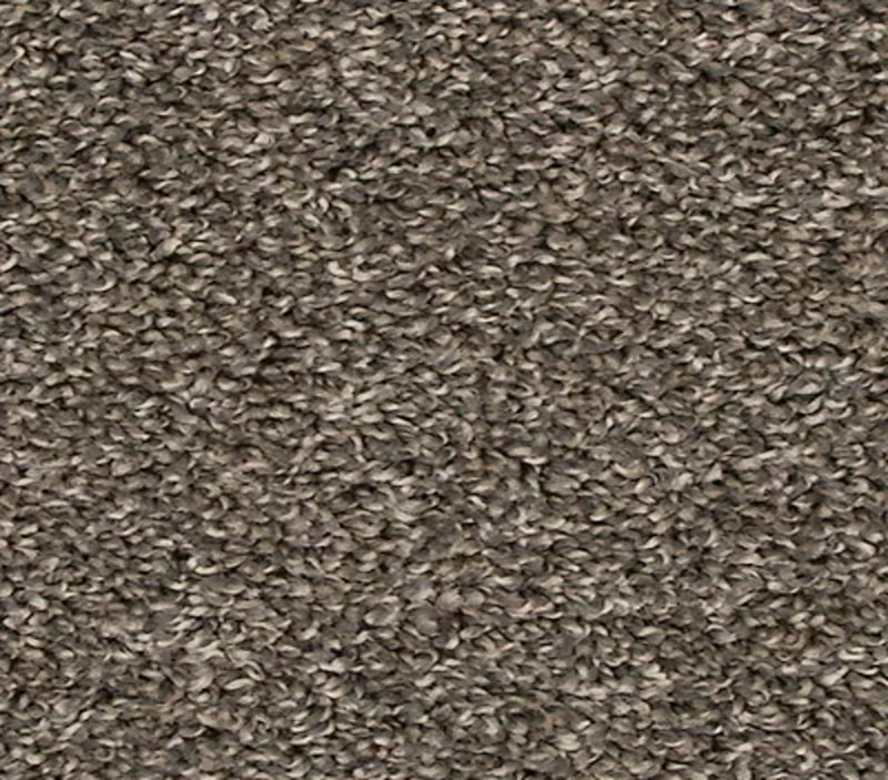 Focus 8