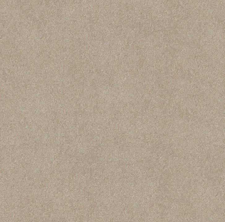 Good Move I Practical Beige