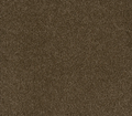 Hammond Creek II Black Walnut