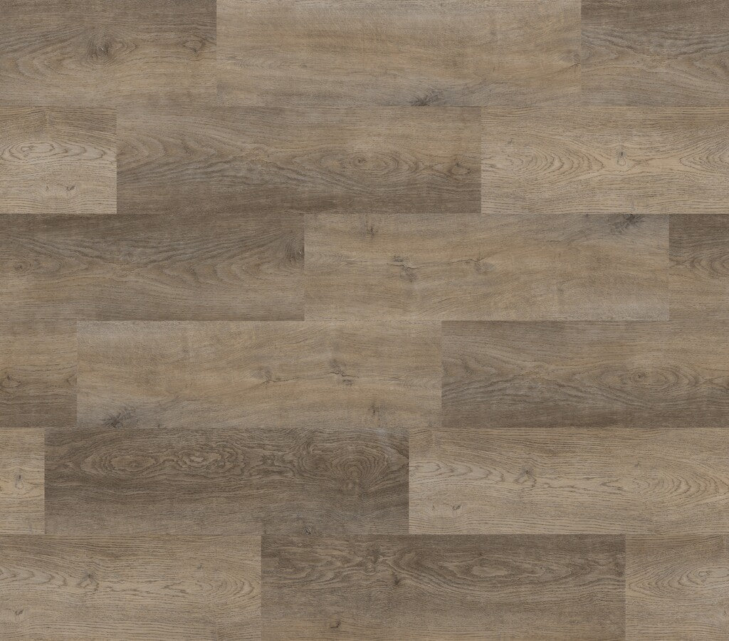 Ingrained SB Northern Oak