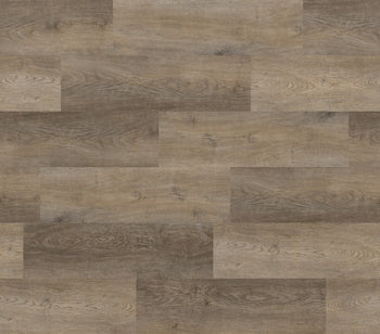 Ingrained SB Northern Oak