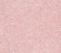 Kid Crossing Pink Flamingo