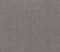 Live On Comfort Century Taupe