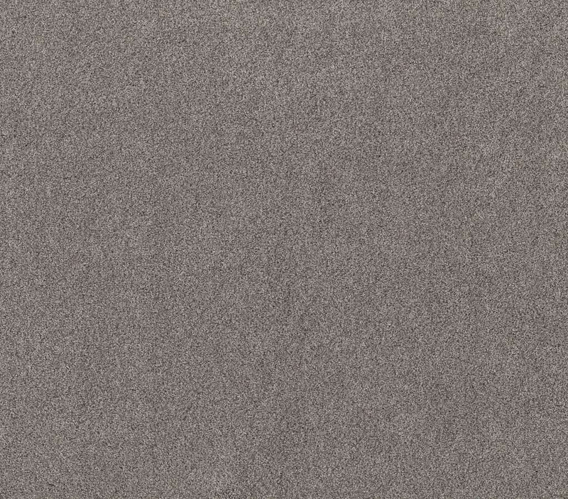 Live On Comfort Century Taupe