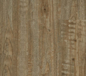Parterre Looselay II SB Halle Cedar