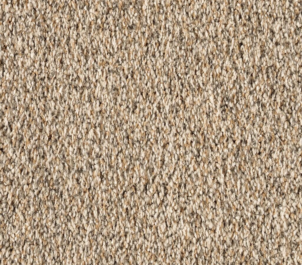 Luxuriant Surface Shorescape