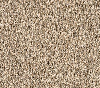 Luxuriant Surface Shorescape