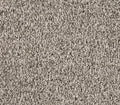 Luxuriant Surface Urban