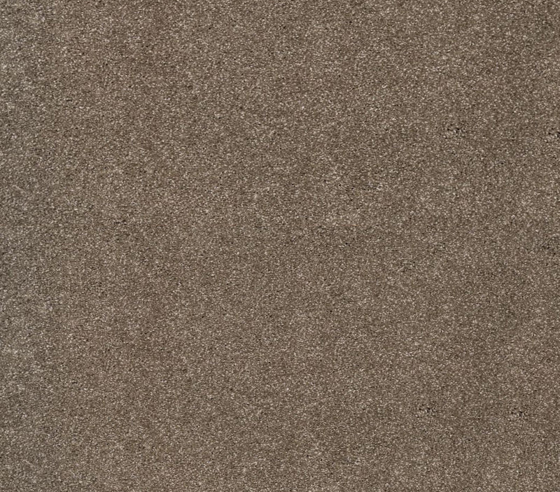 Luxurious Vision English Toffee