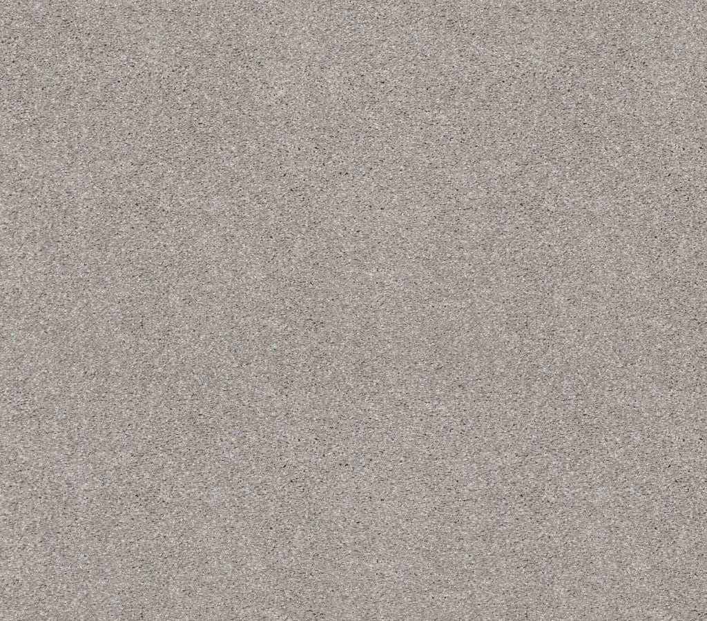 Luxurious Vision Soft Smoke