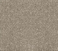 Momentun 1272 True Gray