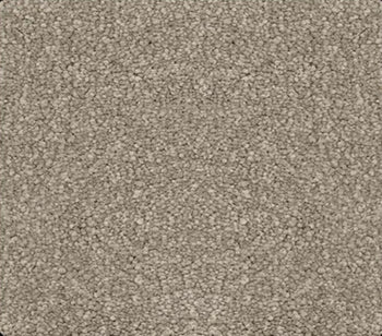 Momentun 1272 True Gray