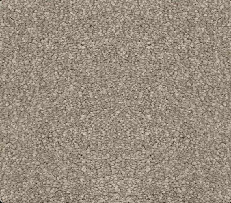 Momentun 1272 True Gray
