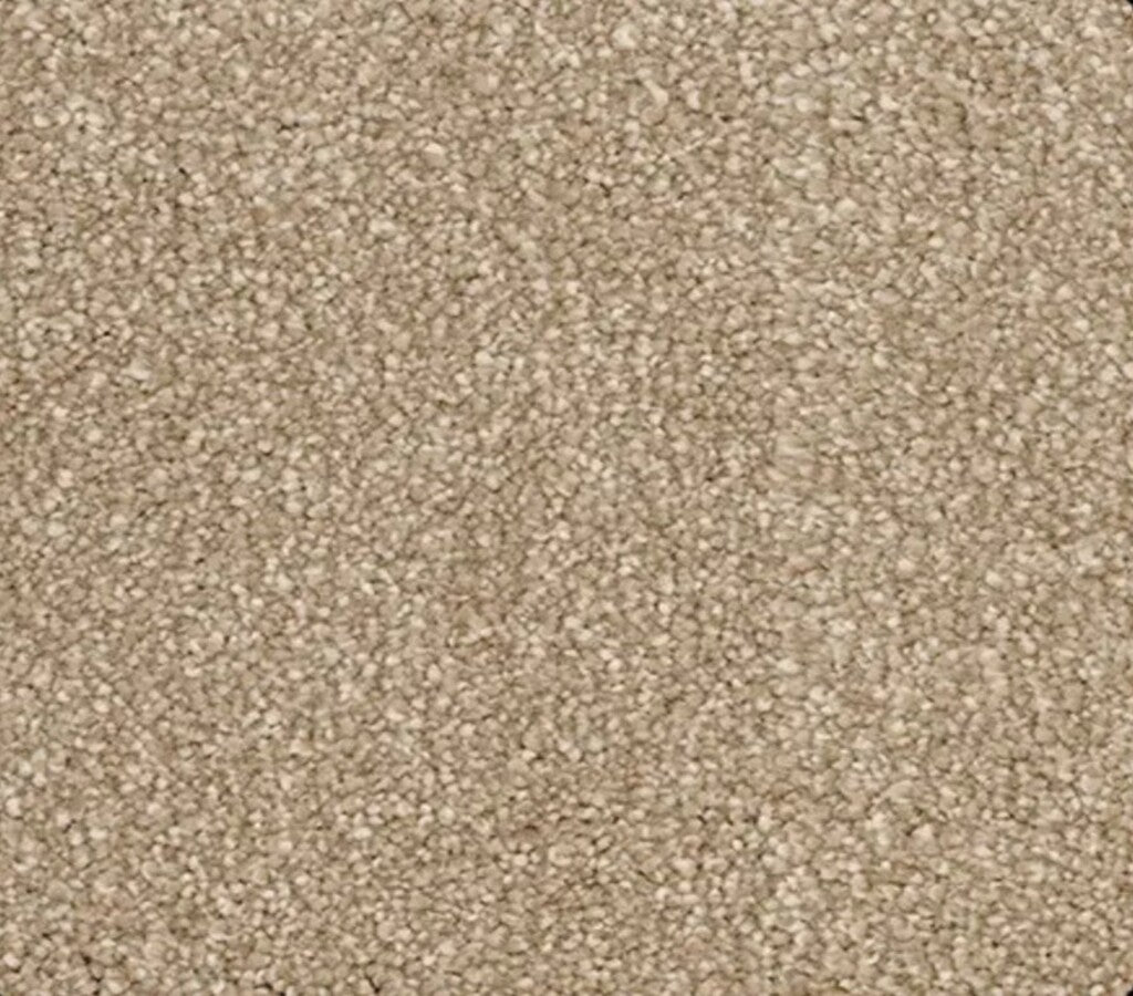 Momentun 1293 Mocha