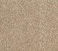 Momentun 1293 Mocha