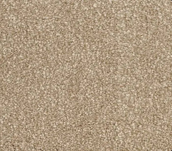 Momentun 1293 Mocha